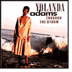 YolandaAdams - Through The Storm-CD-012414302724