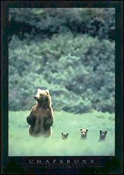 Chaperone
