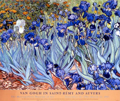 Irises; Garden View (Met.)