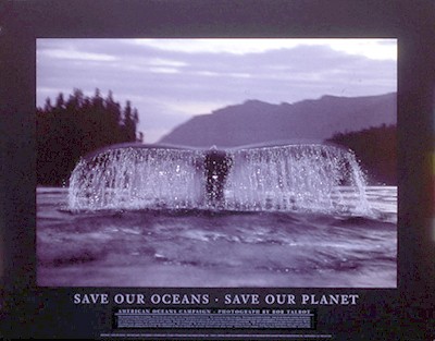 Save Our Oceans; Save Our Planet