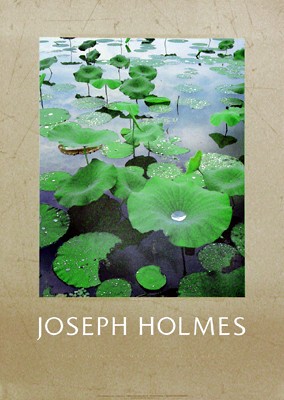 Lily Pads
