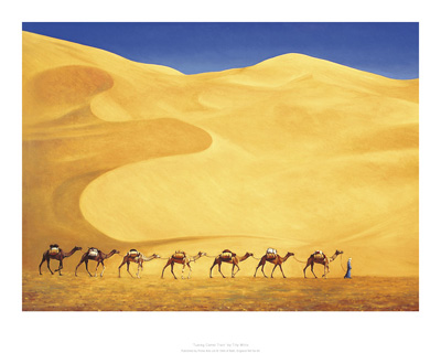 Tuareg Camel Train