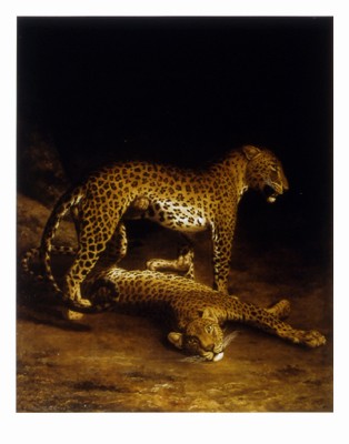 Two Leopards *