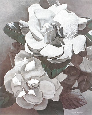 White Gardenias *