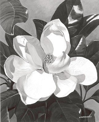 White Magnolia *
