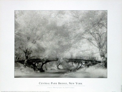 Central Park Bridge; New York