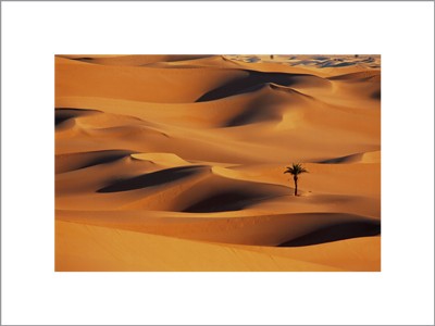 Desert Dunes; Algeria