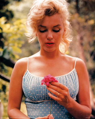 Marilyn Monroe; Flower