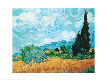 Yellow Wheat and Cypresses