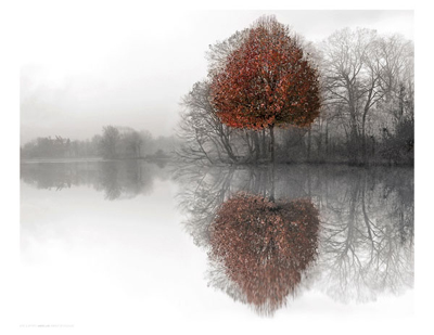 Mirror Lake *