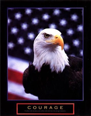 Courage - Eagle & Flag