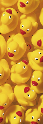 Quack Quack III