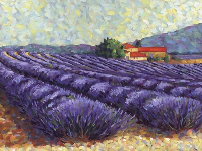 Lavender Fields II