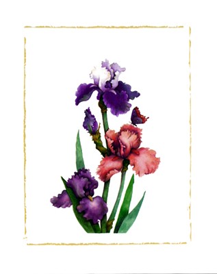Irises of Spring II