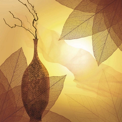 Transparence I