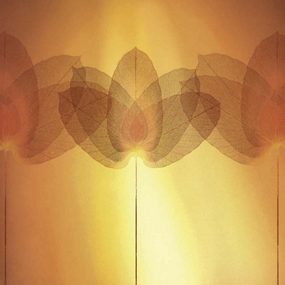 Transparence V