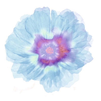 Fleur Bleue
