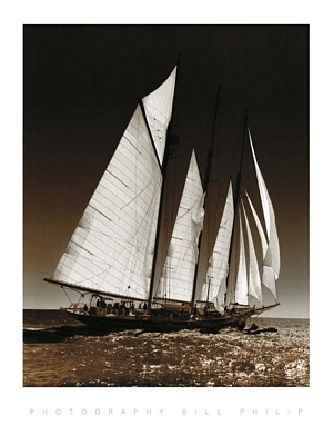 Sailing at Cowes II