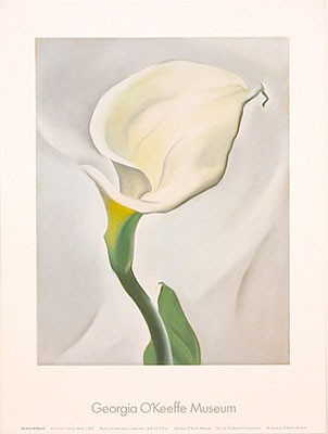 Calla Lily Turned Away