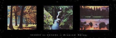 Images From Nature II