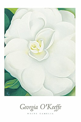 White Camelia