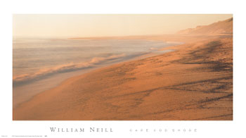 Cape Cod Shore
