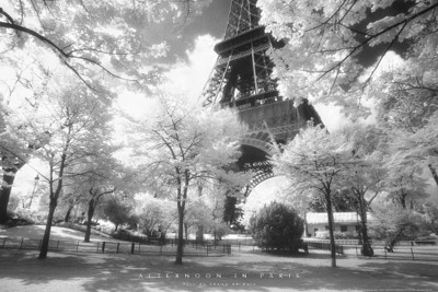 Afternoon in Paris; Parc du Champ de Mars