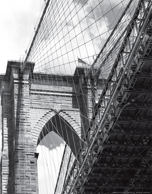 Under the Brooklyn Bridge *