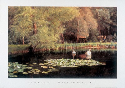 The Lily Pond; Shudbrook; Near Lincoln *