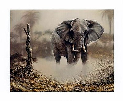Elephant in the Dust
