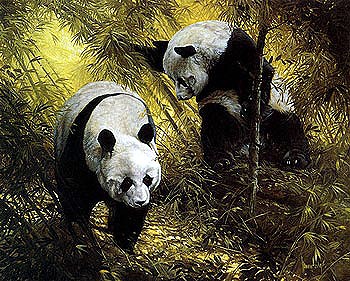 Panda Pair