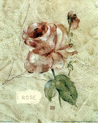 Rose on Cracked Linen
