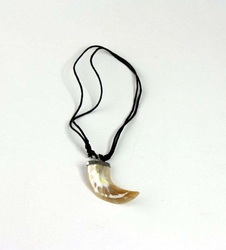 Shell Tooth Necklace