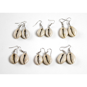 Set Of 6 Cowrie Shell Earrings