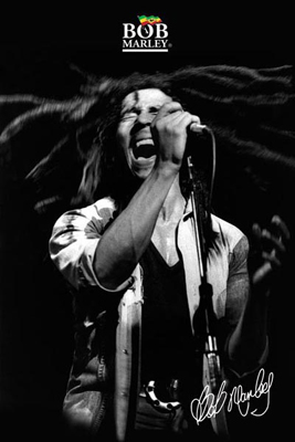 Bob Marley: Shout