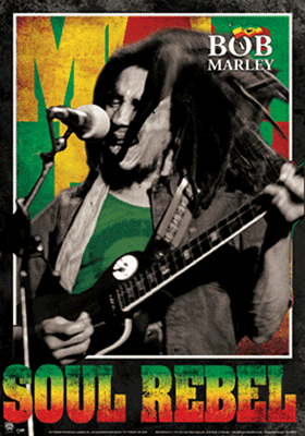 Bob Marley: Soul Rebel 3-D Lenticular