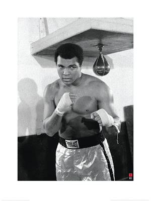Muhammad Ali: Speedbag