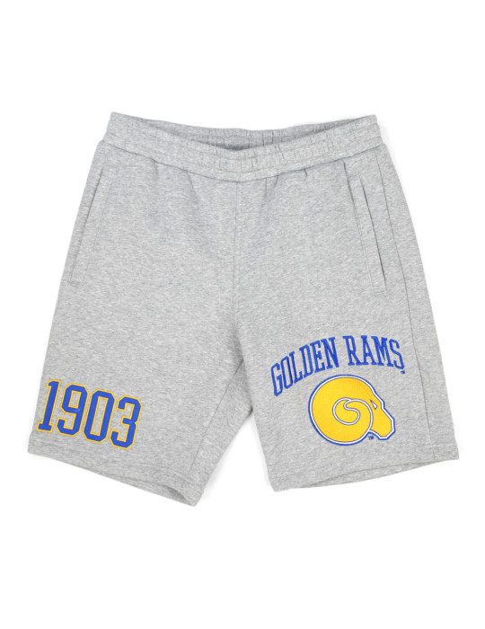 Albany State University Men's Shorts