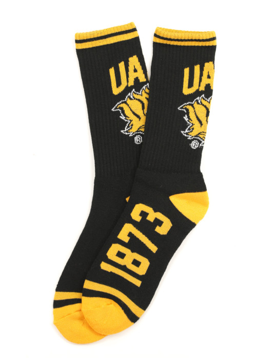 HBCU Socks Collection